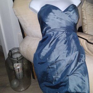 Beautiful Cocktail, and or Special Occasion Blue Size 2 Dress By Jenny Yoo!
